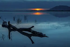 Southern Germany Evening Sky Drucke: Tree trunk on water surface with reflection at blue hour