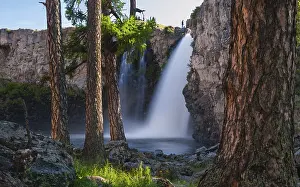 No People Waterfront Photography Drucke: Tree trunks with Orkhon waterfalls in the back