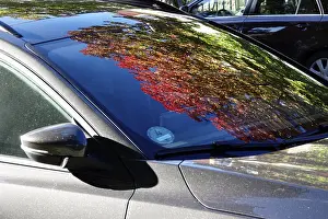 Central Europe Fall Colors Drucke: Trees with autumn colours reflected in a windscreen