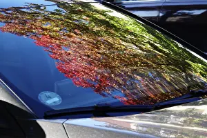 Central Europe Fall Colors Drucke: Trees with autumn colours reflected in a windscreen
