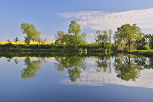 Bavarian Defence Work Drucke: Trees and Cloud reflected in Lake