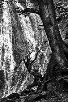 Deserted Mountain River Drucke: Trees at the foot of a waterfall