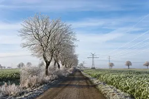 Open Air Winter Landscapes Drucke: Trees and landscape with hoarfrost
