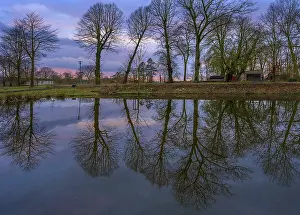 No People Waterfront Scene Germany Drucke: Trees reflected in a pond, evening mood