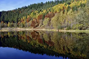 Autumn In Southern Germany Drucke: Trees reflected in the Sankenbachsee