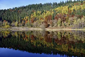 Autumn In Southern Germany Drucke: Trees reflected in the Sankenbachsee