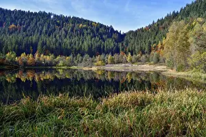 Baden Wurttemberg Germany Drucke: Trees reflected in the Sankenbachsee