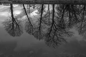 Europe Countryside Scenery Drucke: Trees reflected in the village pond