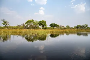 UNESCO World Heritage Botswana Drucke: Trees reflected in water, river landscape