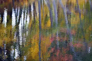 Autumn Leaves Reflection Drucke: Trees reflected in water surface
