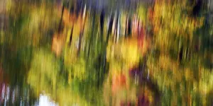 Autumn Leaves Reflection Drucke: Trees reflected in water surface