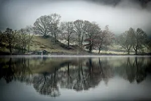 Central England Nature Reserve Drucke: Trees reflected in water surface