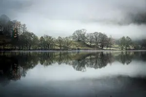 Morning Fog Landscape Drucke: Trees reflected in water surface