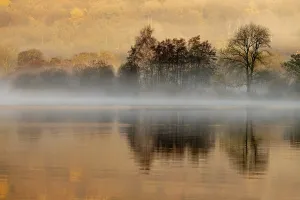 Central England Nature Reserve Drucke: Trees reflected in water surface with fog