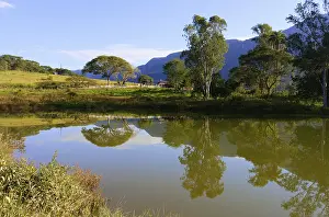 Brazil Landscape Photography Drucke: Trees reflecting in a pond, Serra da Canastra