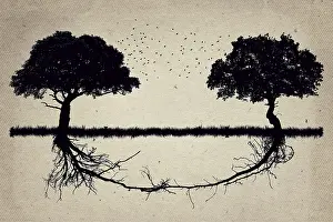 Teamwork And Collaboration Drucke: Two trees in front of each other with their roots growing together