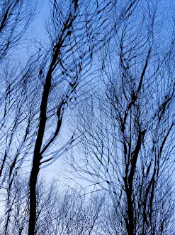 Northern Germany Landscape Photography Drucke: Trees in winter, double exposure and in motion