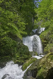 Lower Austria Europe Drucke: Trefflingfall, Puchenstuben, Lower Austria