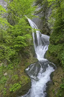 Uninhabited Places In Austria Drucke: Trefflingfall, Puchenstuben, Lower Austria