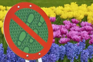 Keukenhof Gardens Drucke: No trespassing sign, in the background