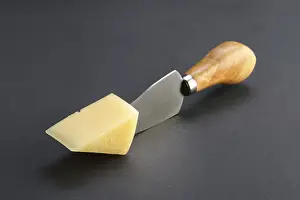 Vegetarian Dairy Product Drucke: Triangle piece of cheese parmesan on fork on dark background