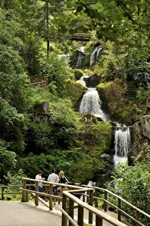 German Countryside Scenery Drucke: Triberg waterfall