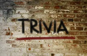 Symbolic Picture Drucke: Trivia Concept