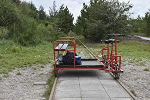 Drucke von Wagen im Wald, Dänemark Eisenbahn Drucke: Wagen im Wald, Dänemark.