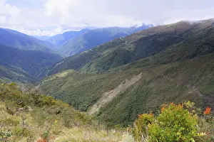No People Cloud Forest Scene Drucke: Tropical Cloud Forest landscape