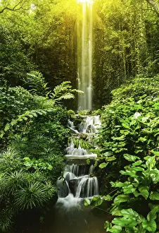 Old Growth Forest Scenery Drucke: Tropical waterfall in forest