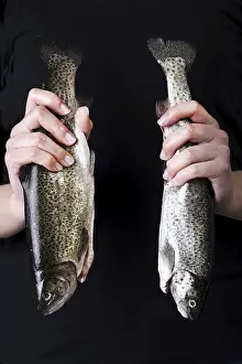 Bony Fish Habitat Drucke: Trouts