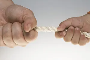 Tug Of War Drucke: Tug of war