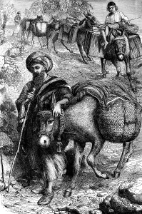 North African Desert Landscape Drucke: Between Tunis and the desert. Jacob down based on his ass