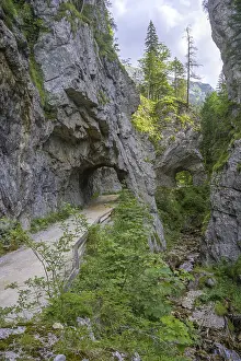 Steiermark Countryside View Drucke: Tunnel in the gorge along the Schrottner path