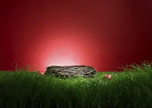 Traditional Easter Decoration Drucke: Turf in front of a red background