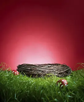 Plain Red Background Image Drucke: Turf in front of a red background
