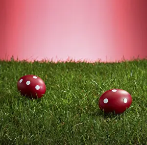 Easter Egg Tradition Drucke: Turf in front of a red background