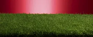 Studio Photography Backgrounds Drucke: Turf in front of a red background, studio shot
