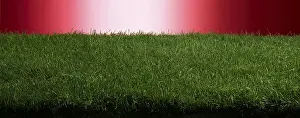 Red Background Studio Shot Drucke: Turf in front of a red background, studio shot