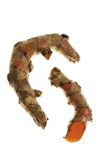 Turmeric Root Drucke: Turmeric