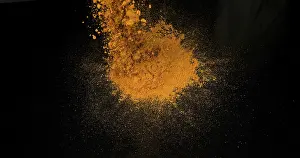 Longa Drucke: Kurkuma (Curcuma longa), Pulver explodiert gegen schwarzen Hintergrund.
