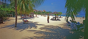 Tropical Palm Trees Drucke: Turtle Beach, beach holidaymakers