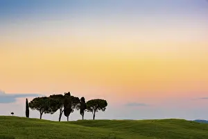Italian Rural Landscape Photography Drucke: Tuscan landscape with cluster of trees