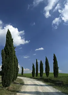 Italian Countryside Scenery Drucke: Tuscany