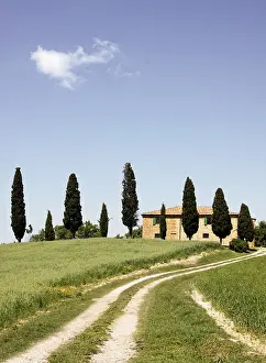 Tuscany Landscape Drucke: Tuscany
