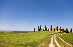 Tuscany Landscape Drucke: Tuscany