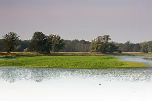 Middle Elbe Biosphere Reserve Drucke: Typical biotopes of the river landscape