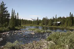 Norwegian Landscape Drucke: Typical central Norwegian landscape