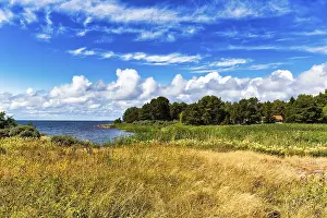 Deserted European Coastline Drucke: Typical coastline in summer, Eckero