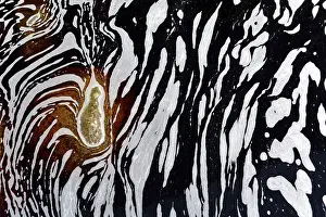 Latin America Landscape Photo Drucke: Typical foam structures on a blackwater river
